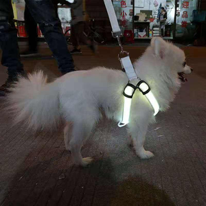 Collar <span class=keywords><strong>LED</strong></span> para Perro, Impermeable, Luminoso, Ajustable, Correa para Mascotas para Caminar de Noche, Collar de Seguridad Reflectante - Product Image 1