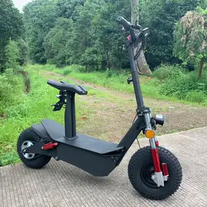 1500W High power scooter elektrische volwassen