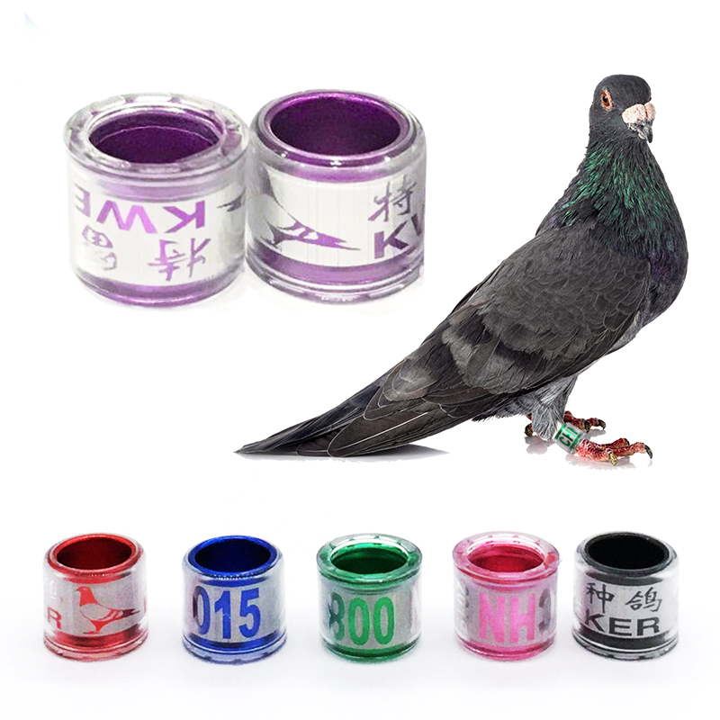 Couleur personnalisée