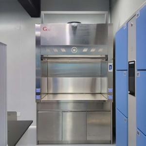 <span class=keywords><strong>Hotte</strong></span> d'extraction et casiers modernes en acier inoxydable SUS304, adaptés à l'utilisation dans les laboratoires hospitaliers et scolaires. - Product Image 4