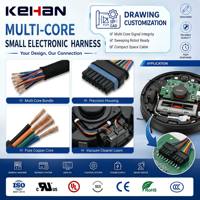 Arnés de Cables OEM con Conector Mini PH2.0 XH2.54 para Juguetes RC y Robótica Educativa