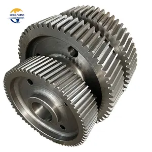 Lyhc Hot Sale OEM Main Stainless Steel Gear Top Quality Ring Gear Wheel Heavy Industry Gear Wheel