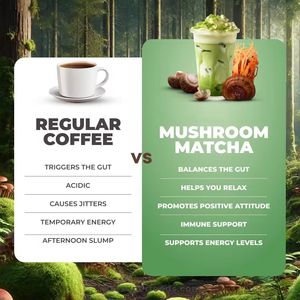 Superalimentos OEM USDA Orgánicos, Matcha con 6 Hongos Adaptógenos, Matcha de Grado Ceremonial, Bolsa Nueva con Cuchara, 6 Hongos Adaptógenos - Product Image 4