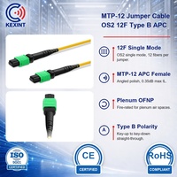 Câble de raccordement MTP MPO 12 fibres OS2 monomode APC Type B Plenum