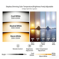 Lampe LED Globe E27 Intelligente 2.4G avec Télécommande, Lumière Blanche Réglable et Dimmable, CRI 80 Élevé, Contrôle Sans Fil pour Salon, Chambre et Maison