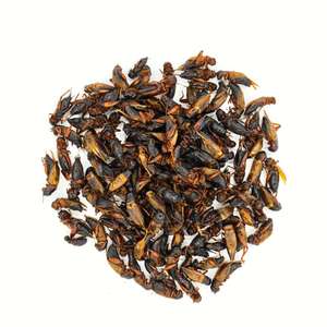 Proteine di Insetti Essiccati 100% Naturali, Cibo per Polli, Uccelli e Rettili, Grilli Essiccati - Product Image 2