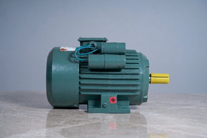 Moteur à induction monophasé 2HP 1,5KW 1500 tr/min entièrement fermé en fonte avec support au sol 208-230V 50Hz Efficacité IE2 Cadre 95mm - Product Image 6