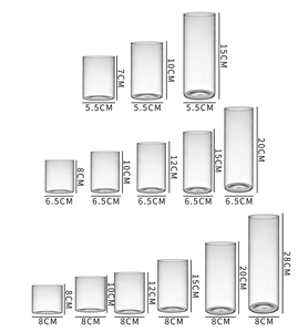 현대 투명 유리 새싹 꽃병 도매 고전적인 실린더 유리 꽃병 - Product Image 4