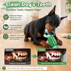 Jouet à mâcher durable en caoutchouc en forme de cactus, saveur bœuf, avec logo personnalisé, pour chiens agressifs, pour le nettoyage des dents - Product Image 5