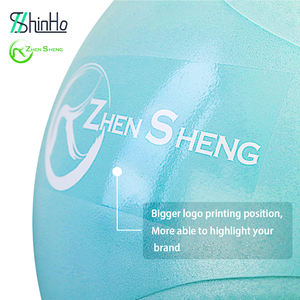 Pelota de Ejercicio Zhensheng 2024, Nuevo Diseño, Promoción de Marca, Pelota de Yoga para Gimnasio en Casa, Pelota Suiza con Bomba de 9 Pulgadas - Product Image 2