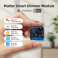 Boîtier numérique pour variateur de lumière Bilihondim Matter Thread Dimmer 200W compatible avec Google Assistant, Apple Home, Smart Things, Smart Life