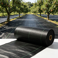 Toile de paillage en PP tissé anti-perforation en rouleaux pour l'Australie, pour la culture de pommes de terre et la protection des vignobles sous le gravier autour des arbres