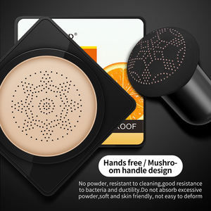 Saoer – maquillage naturel en vitamine C, 20g, léger, soyeux, OEM, ODM, imperméable et anti-transpiration, correcteur de beauté, <span class=keywords><strong>BB</strong></span> crème, nouvel arrivage - Product Image 3