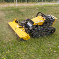 Mesin pemotong rumput Remote Control perayap nirkabel 500mm harga pabrik Tiongkok dengan sekop salju