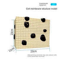 Modèle de structure de membrane cellulaire J33303, structure à trois couches, organisation des protéines, des lipides, des molécules, biologique