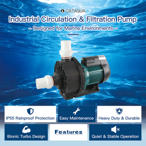 Pompa d'Acqua Industriale per Fabbriche, <span class=keywords><strong>Officine</strong></span> e Impianti - Pompa per Uso Intensivo, Circolazione Continua, Marchio Personalizzato, Garanzia di 1 Anno - Product Image 3