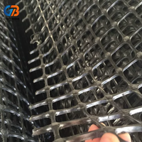 Geomalla Biaxial de Plástico de Buena Calidad para Construcción de Carreteras, Geomalla Biaxial al Mejor Precio con Muestra Gratuita, Refuerzo de Terreno Blando