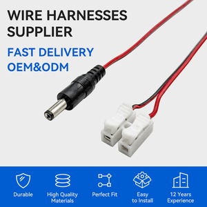 DC5521 كابل إلى 2 دبابيس موصلات الكابلات الكهربائية CH2 لصق سريع قفل الأسلاك الطرفية مصباح سلك توصيل الأسلاك - Product Image 2