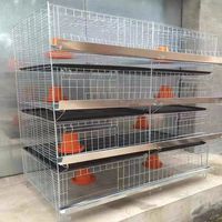 Cage à 4 niveaux pour petits poussins Cage à eau automatique pour poulets d'élevage de bébés