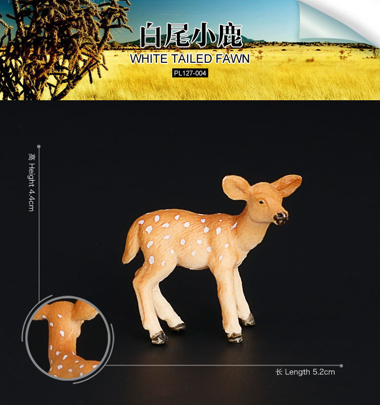 004 Ciervo de cola blanca pequeño