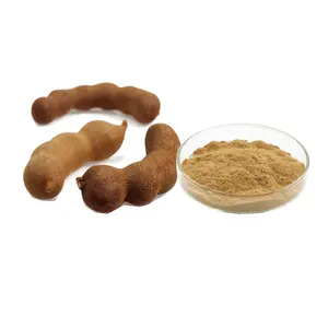 Extracto de fruta de tamarindo en polvo Extracto de Tamarindus indica L. Extracto 10:1 20:1