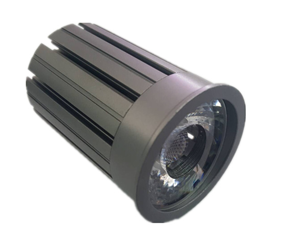 Modèle 1 (lumière du module 12w)