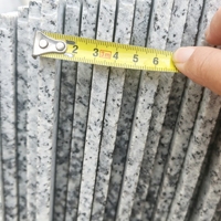 Dalle de granit ultra-mince de 0,6 mm, écologique et industrielle, pour projets de sols et de murs de villas par Brilliance G602