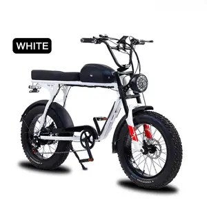 1000W 21Ah 50MPH Fast Electric Dirt Bike Fat pneu Off Road Suspensão Completa Dual Motor E Bicicleta Bicicleta Elétrica