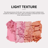 Palette de fard à joues mat à haute pigmentation OEM ODM, maquillage naturel pour les joues, longue tenue, imperméable, marque privée, palette de fard à joues vegan