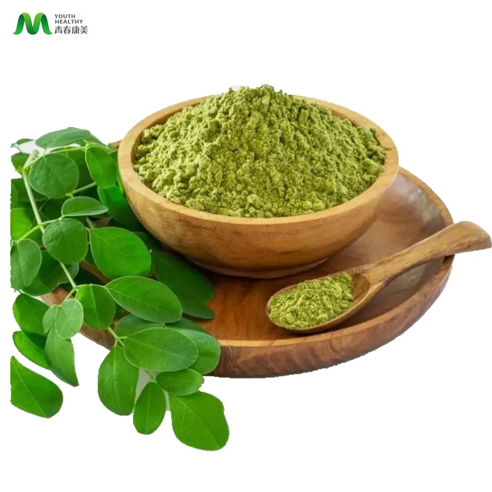 Pure Natural Organic certified Moringa Leaf Extract Powder Moringa Powder Bulk moringa leave powder