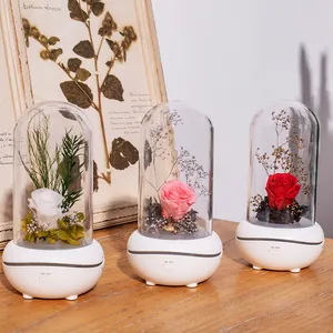 Decoration Small Perfume Aromatheray Diffuser with Battery Essential Oil Diffuser Humidifier for Home Office