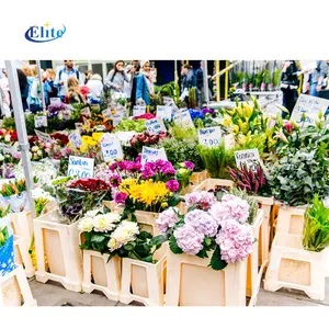winkelwagen tuinieren Suppliers-Bloem Veiling Display Tulip Plastic Emmer Voor Huis Tuin En Bloem Winkel