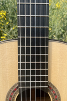 Guitare Friederich de niveau maître fabriquée à la main par Aiersi