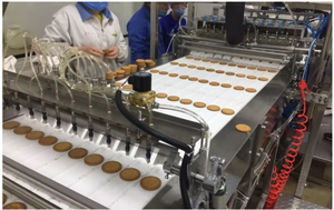 Línea de Producción Automática de Pastel de Chocolate, Máquina para Hacer Pastel de Chocolate y <span class=keywords><strong>Jaffa</strong></span>, Precio Personalizado - Product Image 5