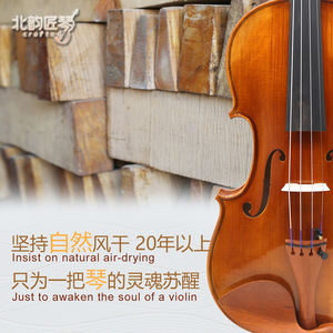 Violín CHENTUO CT3.5 para estudiantes, hecho a mano, de abeto macizo y arce en la parte posterior, con arco de ébano para principiantes, fabricado en China, el más vendido. - Product Image 3