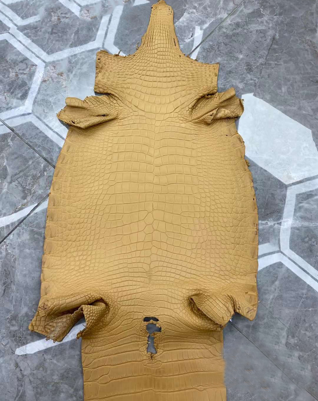 camello