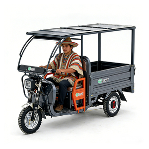 Tricycle électrique à chargement solaire, chariot de nourriture mobile à 3 roues avec auvent, rickshaw électrique pour la vente de rue destiné aux entreprises - Product Image 6