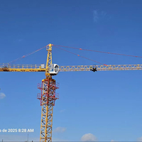 Grue à tour de construction 6T 55M avec moteur, boîte de vitesses, roulement, pièces de rechange, prix, interrupteur de fin de course interne HS5516