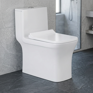 WC monobloc en céramique indienne Morbi, à chasse d'eau double siphonique, à sortie au sol, blanc - Product Image 6