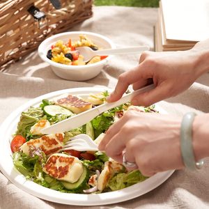 Dao Kéo phân hủy sinh học thân thiện với môi trường cho du lịch hàng không-Bộ đồ ăn nhẹ và bền - Product Image 4