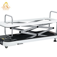 Tapis roulant professionnel pour animaux de compagnie EUR PET, machine de marche pour chiens, tapis roulant pour chiens