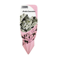 Étiquettes pour plantes en HDPE dégradables à l'épreuve du soleil bon marché, étiquettes de pépinière imperméables à fleurs noires