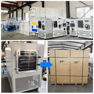 Nouvel équipement de lyophilisation en acier inoxydable Capacité de 100 kg/h Traitement des aliments Manuel d'utilisation complet Support technique Core - Product Image 6