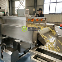 Productielijn voor het frituren en invriezen van aardappelchips, machine voor het maken van frieten, apparatuur voor het frituren van diepvriesfrieten