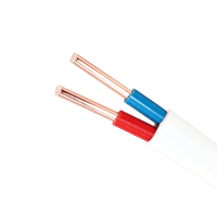 BV BVR RVV BVVB Einadriges Isoliertes Sauerstofffreies Kupfer PVC-Gebäudekabel 2,5mm IEC 100m Rolle Massiver Leiter Flachkabel