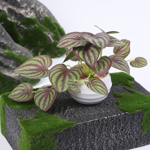 Décoration de jardin, plante artificielle <span class=keywords><strong>blanche</strong></span> pour Noël 2026, décoration intérieure moderne, <span class=keywords><strong>buisson</strong></span> artificiel chinois, feuilles de fleurs artificielles, respectueux de l'environnement - Product Image 3