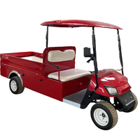 Voiturette de golf électrique 2 places, véhicule personnel, fourgonnette passagers, chariot de golf cargo à batterie au plomb, moteur 3.5KW, autonomie 80-90km, sans permis