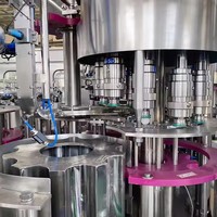 Usine vendant des machines de remplissage et de sertissage de bouteilles en aluminium pour animaux de compagnie usine d'embouteillage d'eau gazeuse machine de remplissage de boissons gazeuses