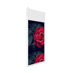 33 Mét Độ dày 43 49inch LCD double side Player hiển thị treo màn hình quảng cáo bán lẻ kỹ thuật số biển