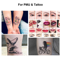 Pistolet de tatouage INKONE SABER sans fil Rechargeable Machine de tatouage stylo moteur puissant fournitures de tatouage